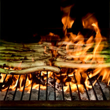 Cargar imagen en el visor de la galería, Visita guiada con degustación + Calçotada tradicional en La Masia