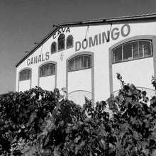 Cargar imagen en el visor de la galería, Visita guiada con degustación + Almuerzo tradicional en La Masia para grupos de más de 15 personas
