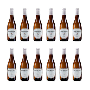 Brisa Marina Godello 2019 D.O. Bierzo - 12 botellas